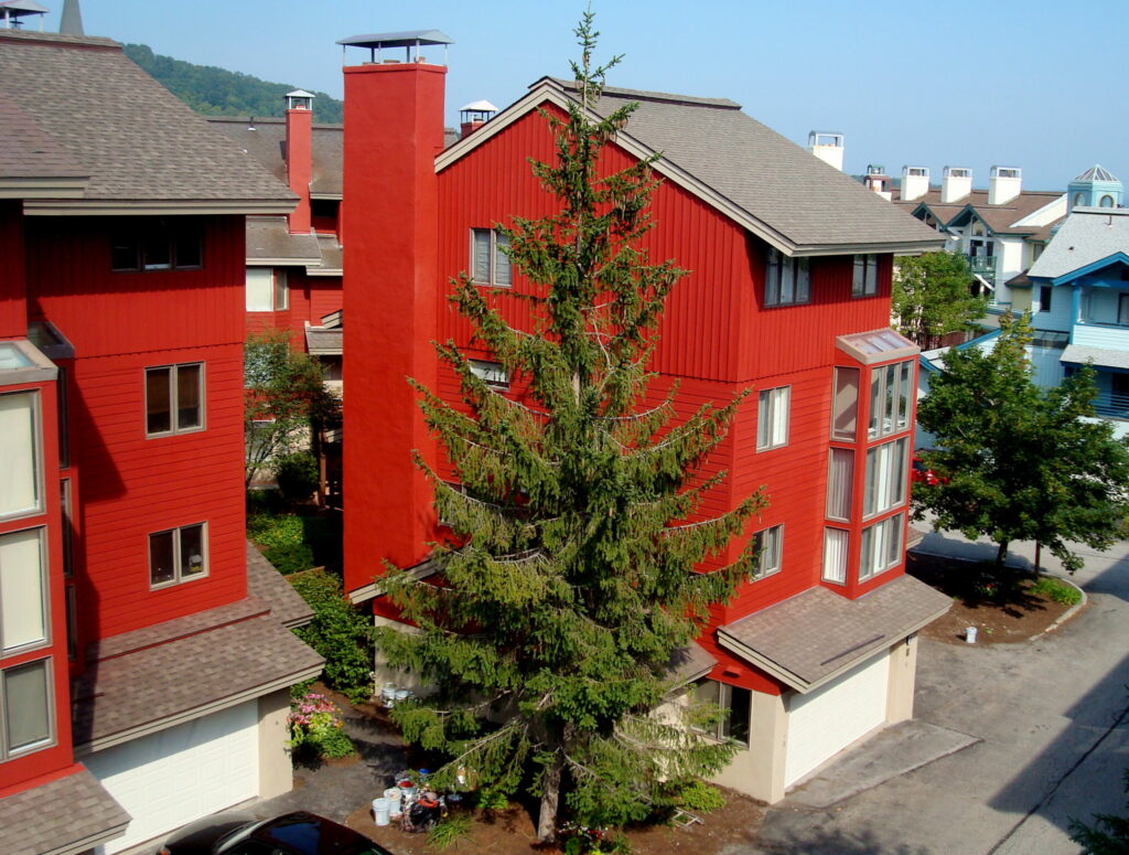 painting companies in prague painting companies in prague